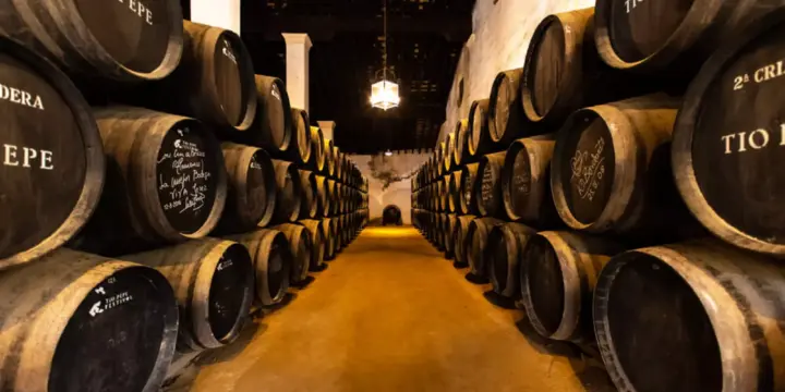 Jerez de la Frontera, nueva sede de Bahía de Cádiz Futsal Cup